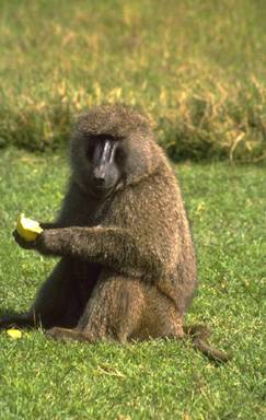 image0014