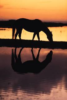 image004