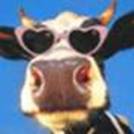 image0015